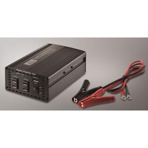CELLSTAR（セルスター） DAC-2500/24V DC24V専用 最大出力2500W DC/AC