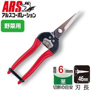 アルスコーポレーション 摘果鋏ロングタイプ(箱入リ) 300L 返品種別B