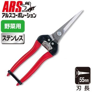 アルスコーポレーション 摘果鋏エクストラロングタイプステンレス(ブリスターパック) 300LL-DX-BP 返品種別B