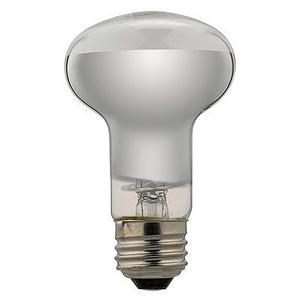 Panasonic（パナソニック） 在庫限り レフ電球 RF100V54W/D 20個入