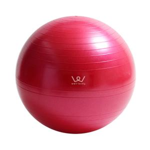 イグニオ Ignio バランストレーニング フィットネスボール 直径65cm シルバー バランスボール アルペン Paypayモール店 通販 Paypayモール