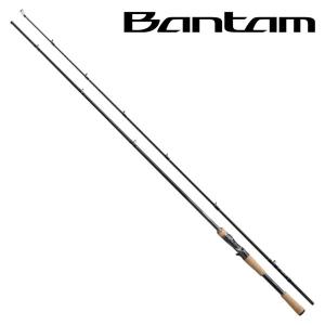 シマノ（SHIMANO） 19 スコーピオン 1653RS-2 6.6ft 3番 2ピース