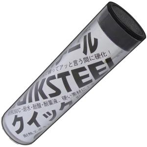 SUN UP クイックスチールパテ グレー(55g) 21343 返品種別A