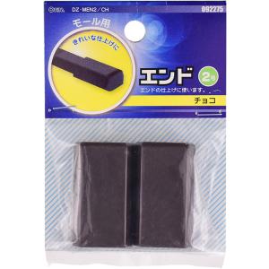 オーム モール用パーツ エンド 2号 OHM DZ-MEN2/ CH