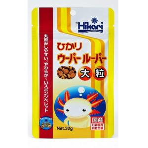 ひかり ウーパールーパー大粒 沈下性 30g キ...の商品画像