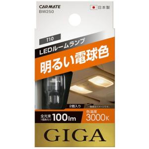 カーメイト LEDルーム R100T 3000K CARMATE BW250 返品種別A｜joshin