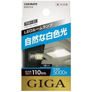 カーメイト LEDルーム R110S 5000K CARMATE BW254 返品種別A｜joshin