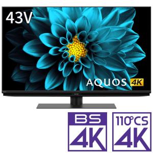(標準設置無料 設置Aエリアのみ) シャープ 43型4Kチューナー内蔵 LED液晶テレビ (別売USB HDD録画対応) Android TV 機能搭載4K対応AQUOS 4T-C43DL1 返品種別A