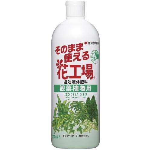 花工場観葉植物用 700ml KINCHO園芸 返品種別A