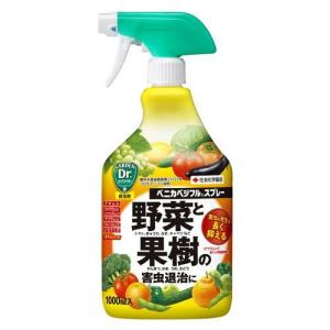 ベニカベジフルスプレー 1000ml KINCHO園芸 返品種別A