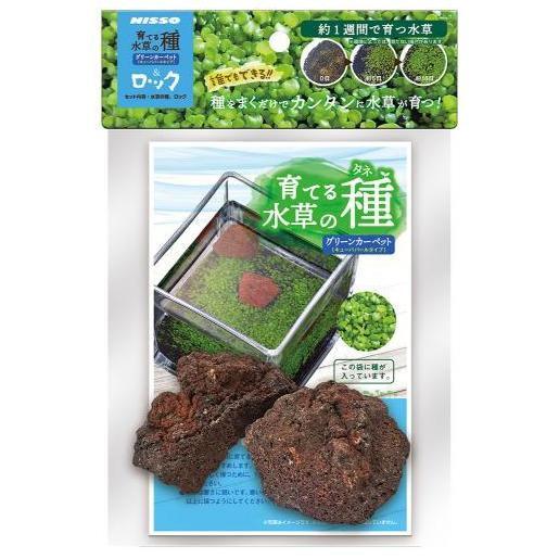 育てる水草の種 グリーンカーペット＆ロック ニッソー 返品種別A