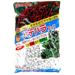 トヨチュー ハチパラエース 2Kg 肥料 #038621 返品種別B｜joshin