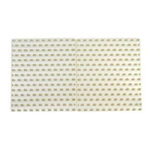 イージーホーム80シリーズ用 樹脂休足フロアー 半面×2枚セット 三晃商会 返品種別A