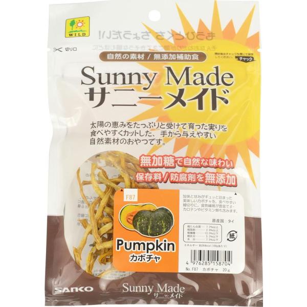 サニーメイド カボチャ 20g 三晃商会 返品種別B