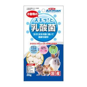 小動物のスキッ!と乳酸菌 20g ドギーマンハヤシ ミニアニマン 返品種別B