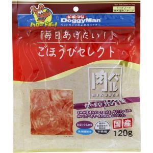 ごほうびセレクト 肉バル ビーフのソフトサラミ 120g ドギーマンハヤシ 返品種別B