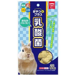 おやつにプラス 乳酸菌55g ハイペット 返品種別Bの商品画像