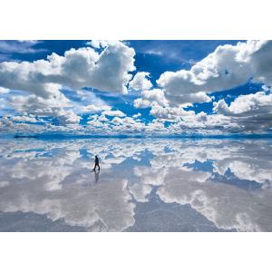 エポック社 世界の絶景 ウユニ塩湖(ボリビア) 108ピース(01-059)ジグソーパズル 返品種別...