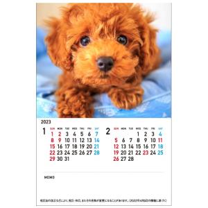 モリヤマ化成 2023年用 スマート卓上カレンダー T3-02カレンダ-