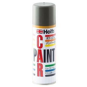 ホルツ カーペイント 300ml (スバル 821)(プラチナシルバーM) Holts MH15523 返品種別B