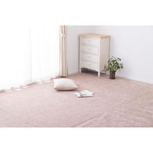 HAGIHARA ペットにやさしい平織カーペット ラウム 江戸間3帖 ラウムE3BE