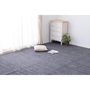 HAGIHARA ペットにやさしい平織カーペット ラウム 江戸間8帖 ラウムE8BK