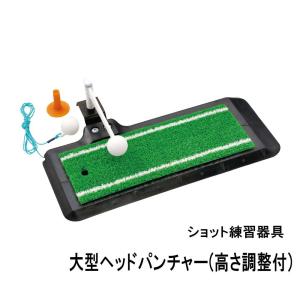 リアルスイング300 室内スイング練習器 ゴルフスイング＆ヒッティング