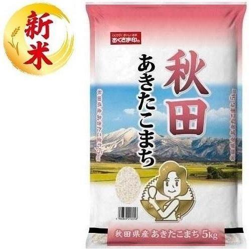 秋田県産あきたこまち 5kg おくさま印(幸南食糧) 返品種別B