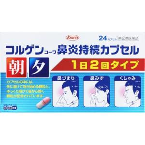 (第(2)類医薬品) 興和 コルゲンコーワ鼻炎持続カプセル 24cp ◆セルフメディケーション税制対象商品 返品種別B｜joshin