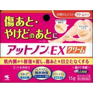 (第2類医薬品) 小林製薬 アットノンEX クリーム 15g  返品種別B｜joshin