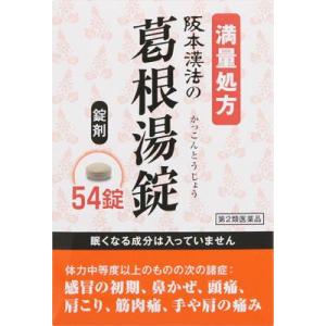 (第2類医薬品) 阪本漢法製薬 阪本漢法の葛根湯錠 54錠 ◆セルフメディケーション税制対象商品 返...