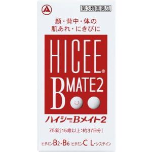 アリナミン製薬 ハイシーBメイト2  返品種別B