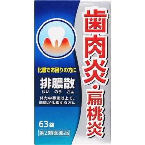 (第2類医薬品) ジェーピーエス製薬 排膿散エキス錠J63錠  返品種別B