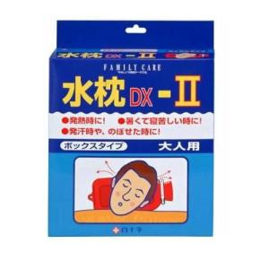 白元アース 2個セット アイスノン ネッククーラー NEO クールネック