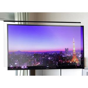 ニデック 65VS型対応 液晶テレビ保護パネル ワイドガード C2AWGE20653352 返品種別A｜joshin