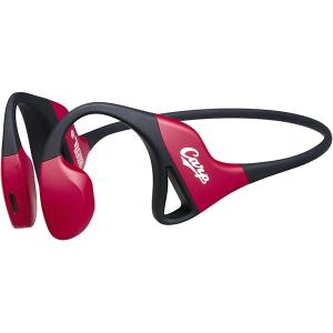 シオノギヘルスケア TVスピーカー ガンマ波サウンドケア「kikippa