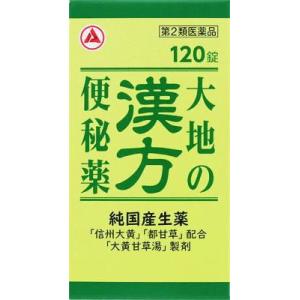 (第2類医薬品) アリナミン製薬 大地の漢方便秘薬 120錠  返品種別B