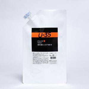 ターナー U-35 ジェッソ 1L塗料 返品種別B