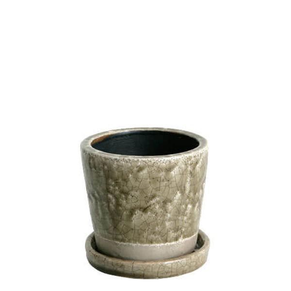 ダルトン(DULTON) カラーグレイズドポットS(クレイ) 2.5号鉢目安 CH15-G527CY...