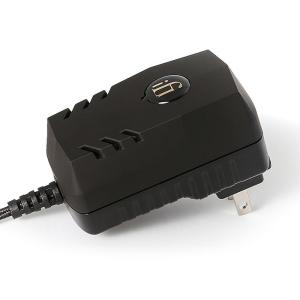 アイファイ オーディオ DC電源アダプター iFI-Audio iPower2