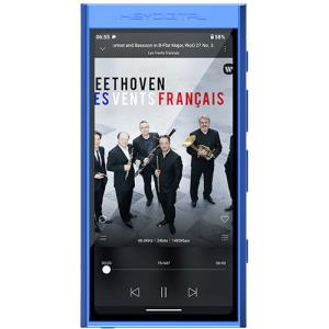 SONY NW-A307 64GB デジタルオーディオプレーヤー SONY WALKMAN 64GB Hi-Res A300 Series NW-A307 Audio Player Gray