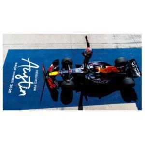 スパーク 1/43 レッドブル RB19 No.1 2023 F1 カタールGP ウィナー M