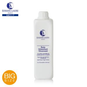 Josiane Laure（ジョジアンヌロール） シャンポワン オーザルグ 500mL