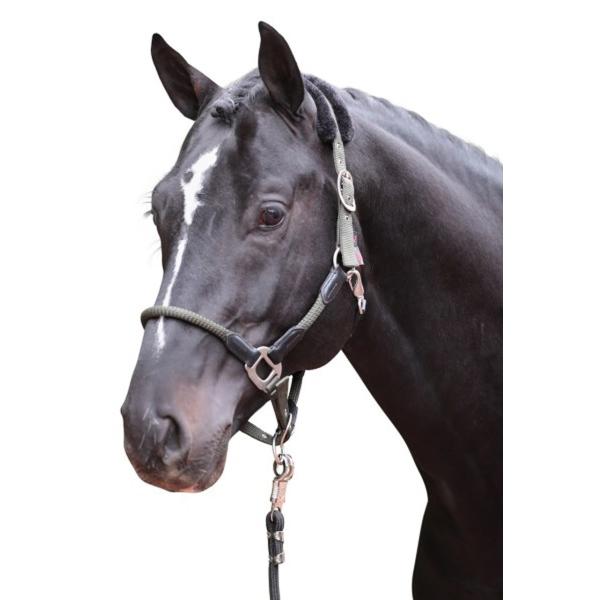 乗馬用品 Covalliero コルダーノ 無口 オリーブ 乗馬 馬具