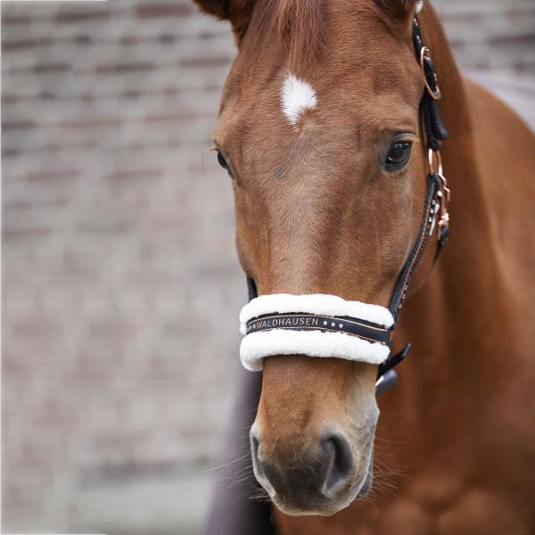 乗馬用品 WALDHAUSEN ボア付き エレガント ホルター ブラックローズゴールド 乗馬 馬具