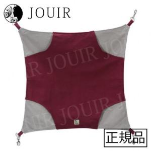 フェレット・ビッグモック