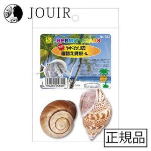 三晃商会 オカヤドカリの宿替え貝殻 S : ジュイール - 通販 - Yahoo