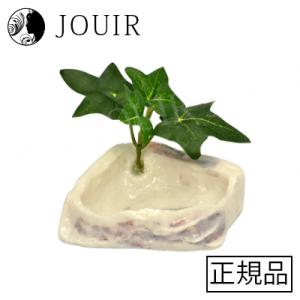 アウトレットセール 特集 オカヤドカリのプール