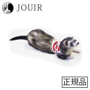 ferret プチ マリンボーダー｜jouir-jp