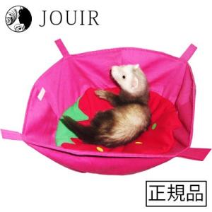 三晃商会 フェレット ヘルシーバイト 50g 3個セット : ジュイール